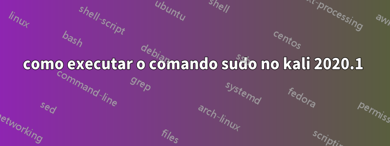 como executar o comando sudo no kali 2020.1