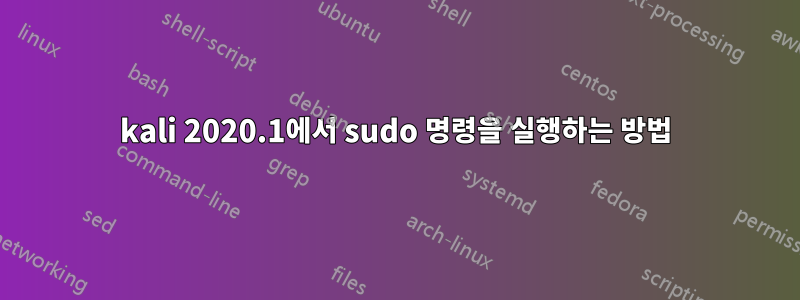 kali 2020.1에서 sudo 명령을 실행하는 방법