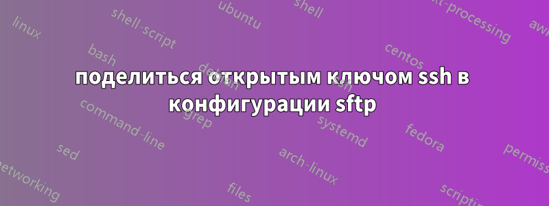 поделиться открытым ключом ssh в конфигурации sftp