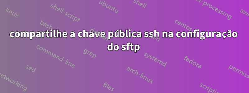 compartilhe a chave pública ssh na configuração do sftp