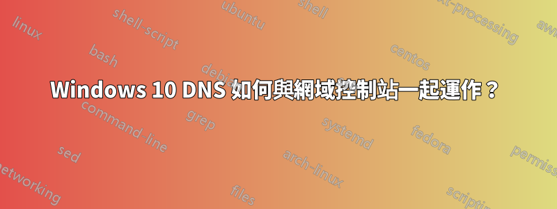 Windows 10 DNS 如何與網域控制站一起運作？