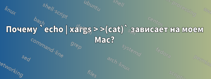 Почему `echo | xargs > >(cat)` зависает на моем Mac?