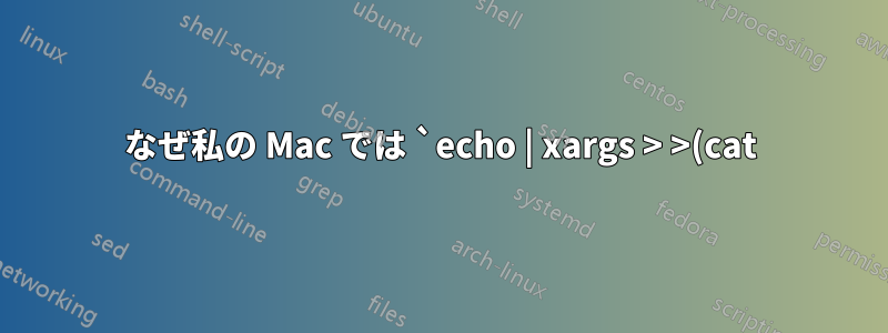 なぜ私の Mac では `echo | xargs > >(cat)` がハングするのでしょうか?