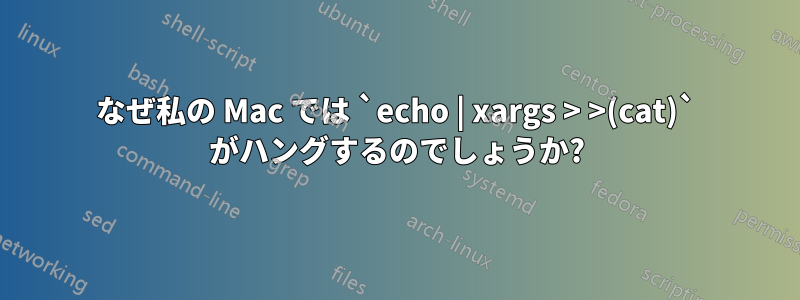 なぜ私の Mac では `echo | xargs > >(cat)` がハングするのでしょうか?