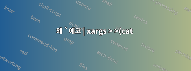 왜 `에코 | xargs > >(cat)`가 Mac에서 작동하지 않습니까?