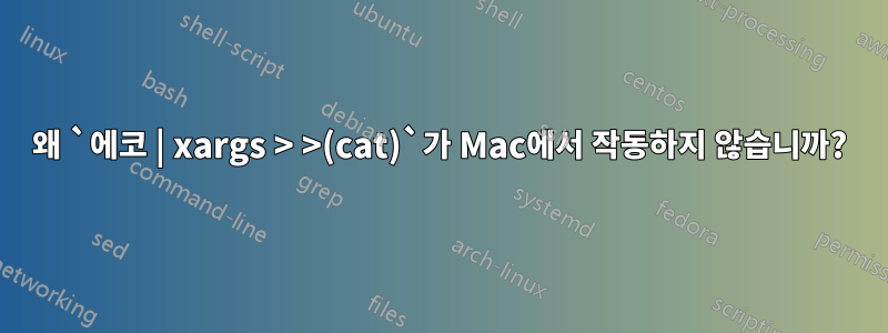 왜 `에코 | xargs > >(cat)`가 Mac에서 작동하지 않습니까?