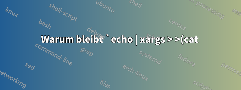Warum bleibt `echo | xargs > >(cat)` auf meinem Mac hängen?