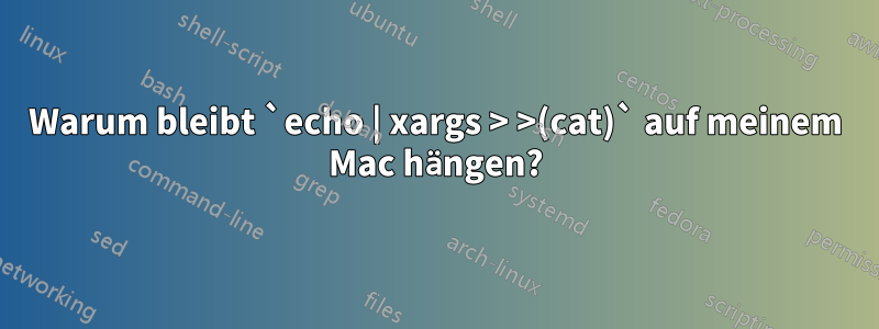 Warum bleibt `echo | xargs > >(cat)` auf meinem Mac hängen?