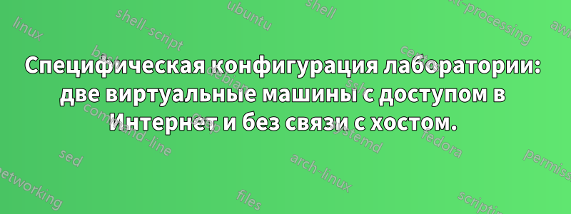 Специфическая конфигурация лаборатории: две виртуальные машины с доступом в Интернет и без связи с хостом.