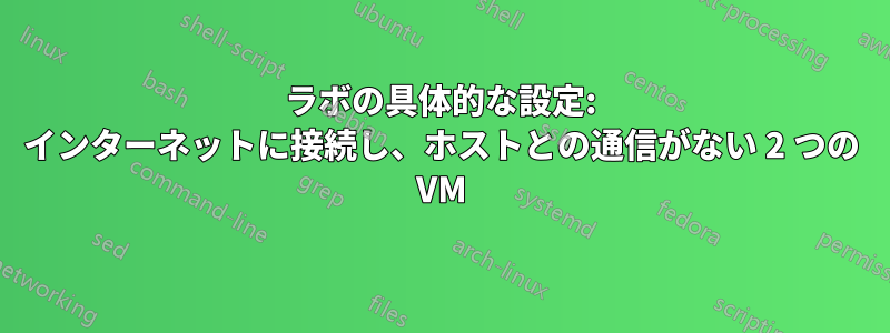 ラボの具体的な設定: インターネットに接続し、ホストとの通信がない 2 つの VM