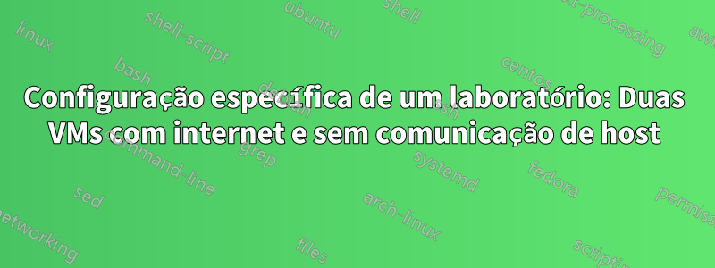 Configuração específica de um laboratório: Duas VMs com internet e sem comunicação de host