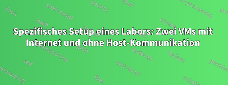 Spezifisches Setup eines Labors: Zwei VMs mit Internet und ohne Host-Kommunikation