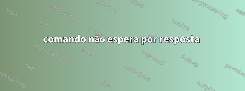 comando não espera por resposta