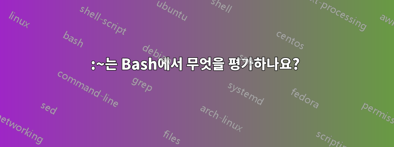 :~는 Bash에서 무엇을 평가하나요?