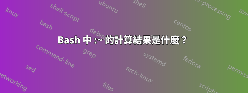 Bash 中 :~ 的計算結果是什麼？