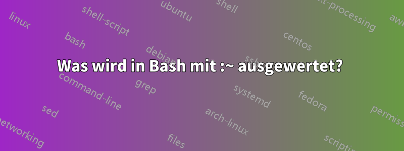 Was wird in Bash mit :~ ausgewertet?