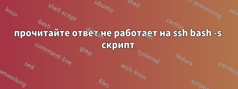 прочитайте ответ не работает на ssh bash -s скрипт