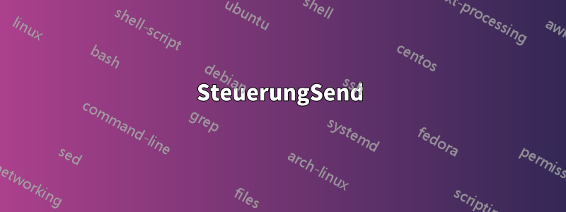 SteuerungSend