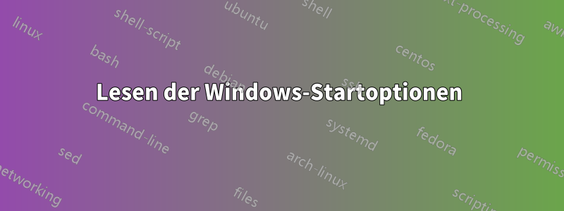 Lesen der Windows-Startoptionen