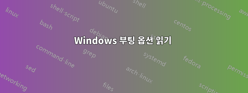 Windows 부팅 옵션 읽기