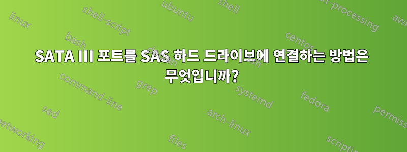 SATA III 포트를 SAS 하드 드라이브에 연결하는 방법은 무엇입니까?