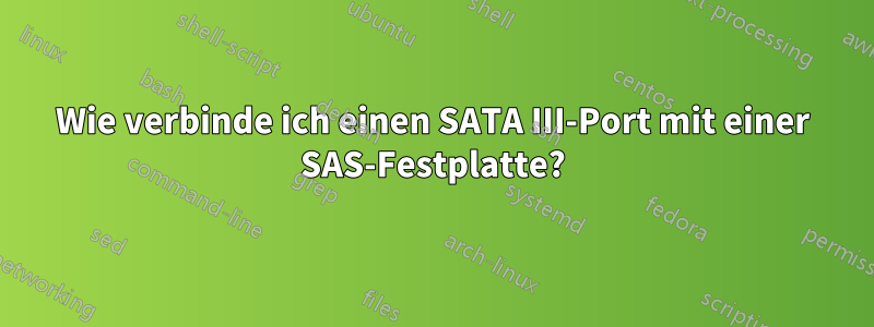 Wie verbinde ich einen SATA III-Port mit einer SAS-Festplatte?