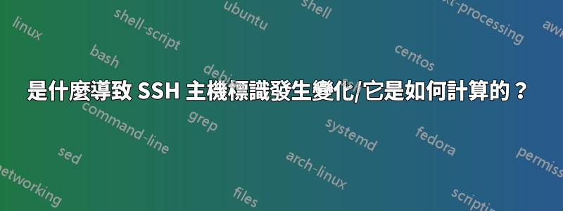 是什麼導致 SSH 主機標識發生變化/它是如何計算的？