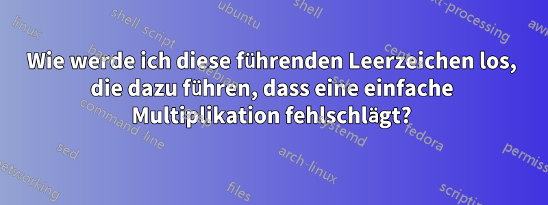 Wie werde ich diese führenden Leerzeichen los, die dazu führen, dass eine einfache Multiplikation fehlschlägt?