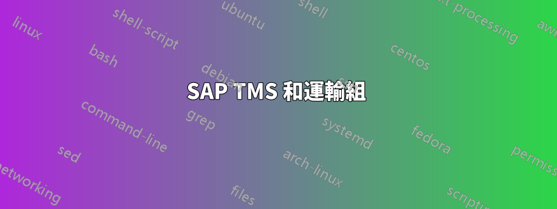 SAP TMS 和運輸組