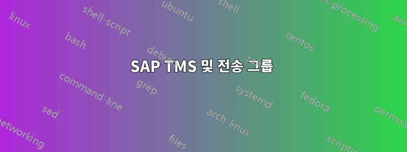 SAP TMS 및 전송 그룹