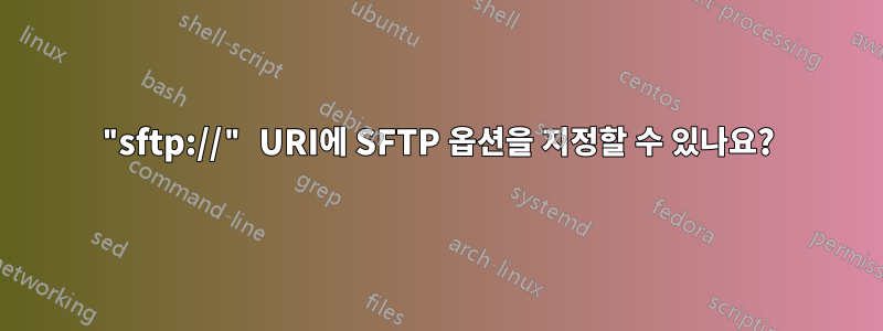 "sftp://" URI에 SFTP 옵션을 지정할 수 있나요?