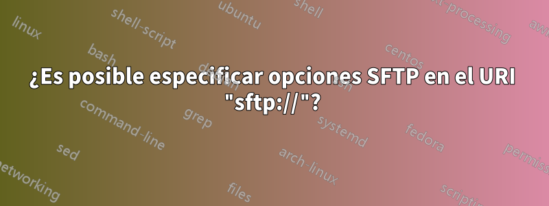 ¿Es posible especificar opciones SFTP en el URI "sftp://"?