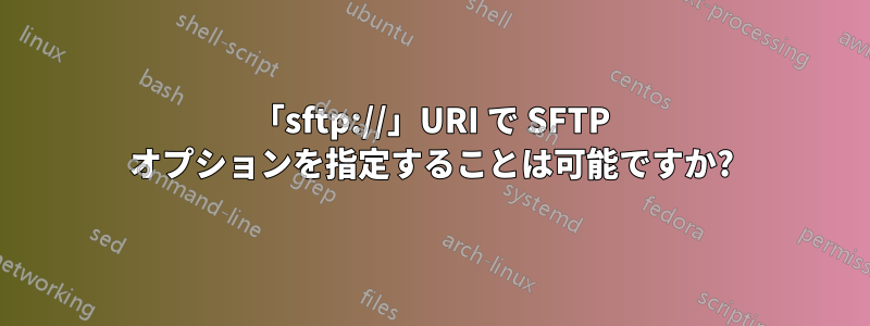 「sftp://」URI で SFTP オプションを指定することは可能ですか?