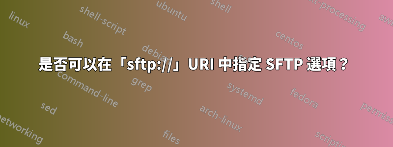 是否可以在「sftp://」URI 中指定 SFTP 選項？