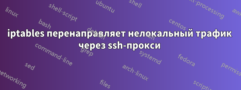 iptables перенаправляет нелокальный трафик через ssh-прокси