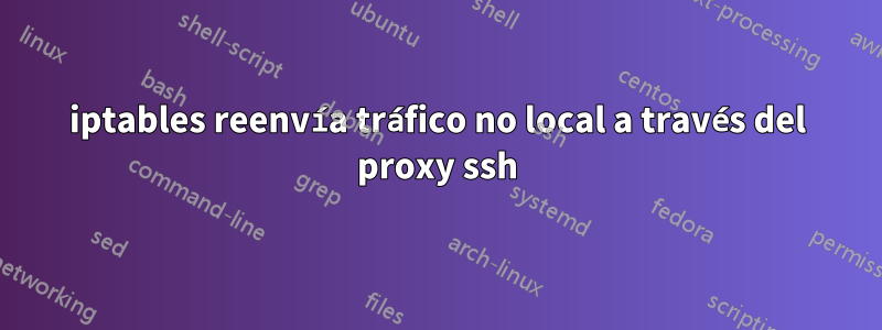 iptables reenvía tráfico no local a través del proxy ssh