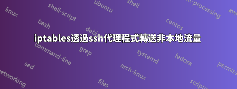 iptables透過ssh代理程式轉送非本地流量