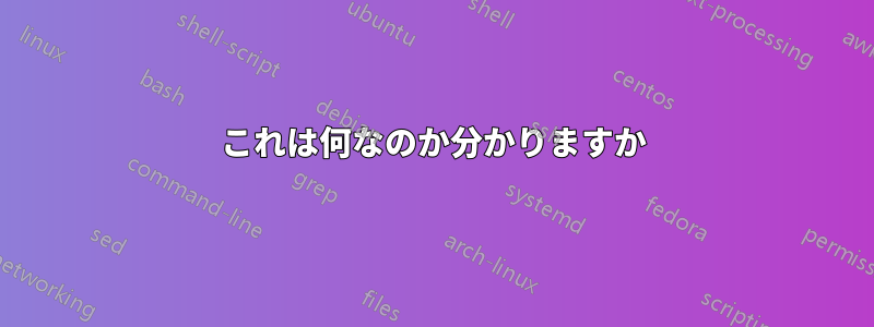 これは何なのか分かりますか