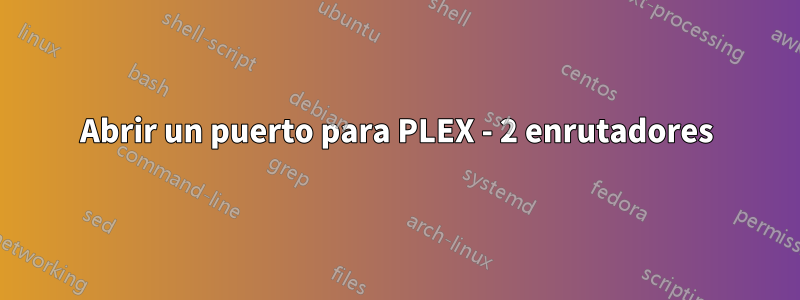 Abrir un puerto para PLEX - 2 enrutadores