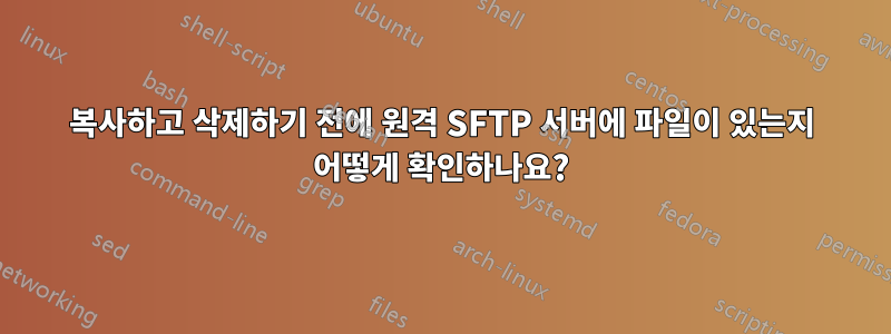 복사하고 삭제하기 전에 원격 SFTP 서버에 파일이 있는지 어떻게 확인하나요?