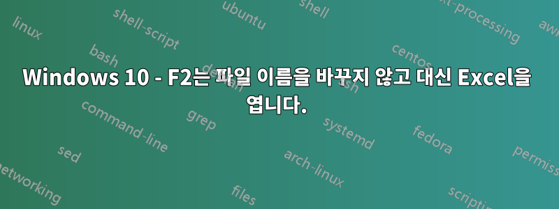 Windows 10 - F2는 파일 이름을 바꾸지 않고 대신 Excel을 엽니다.