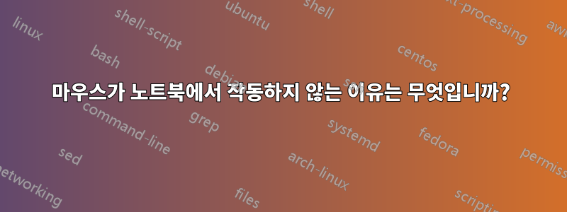 마우스가 노트북에서 작동하지 않는 이유는 무엇입니까?