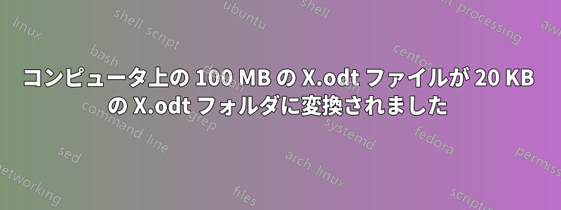 コンピュータ上の 100 MB の X.odt ファイルが 20 KB の X.odt フォルダに変換されました