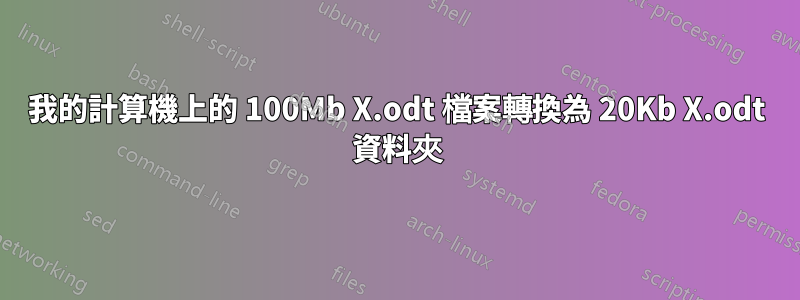 我的計算機上的 100Mb X.odt 檔案轉換為 20Kb X.odt 資料夾