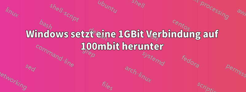 Windows setzt eine 1GBit Verbindung auf 100mbit herunter
