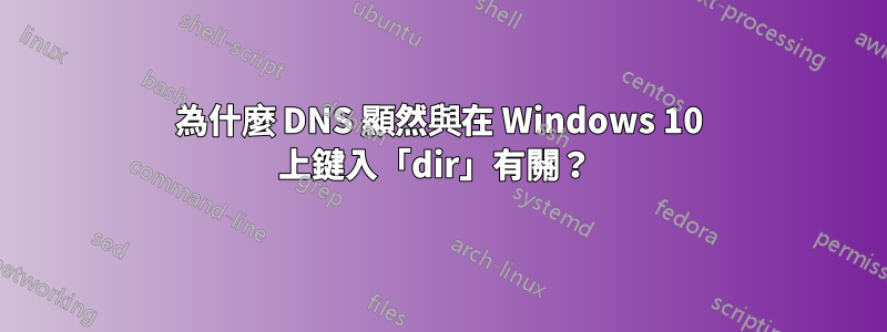 為什麼 DNS 顯然與在 Windows 10 上鍵入「dir」有關?