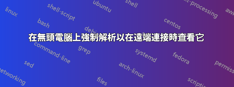 在無頭電腦上強制解析以在遠端連接時查看它