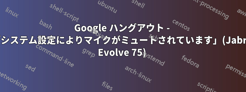 Google ハングアウト - 「システム設定によりマイクがミュートされています」(Jabra Evolve 75)