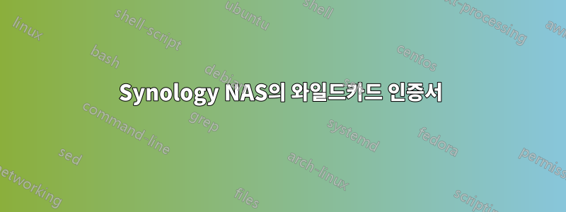 Synology NAS의 와일드카드 인증서