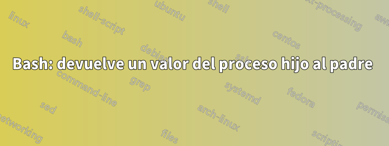 Bash: devuelve un valor del proceso hijo al padre